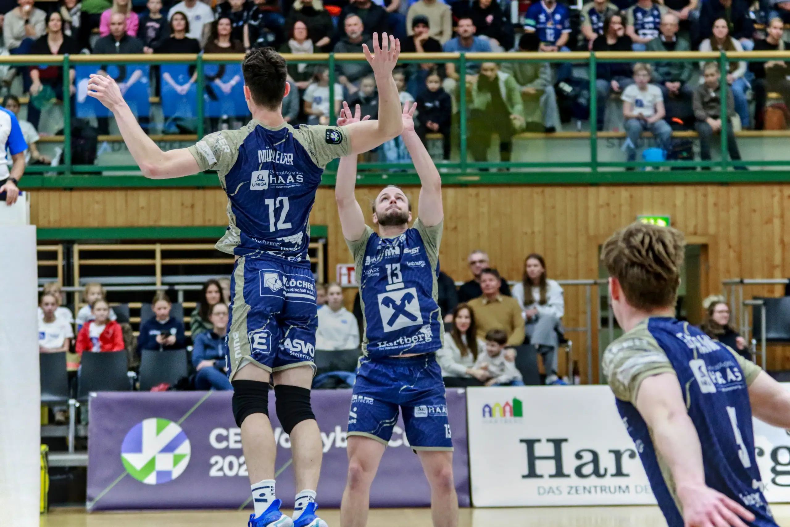 Start ins 2026: TSV Volleyballer am Mittwoch in Belgien im Europacup-Einsatz