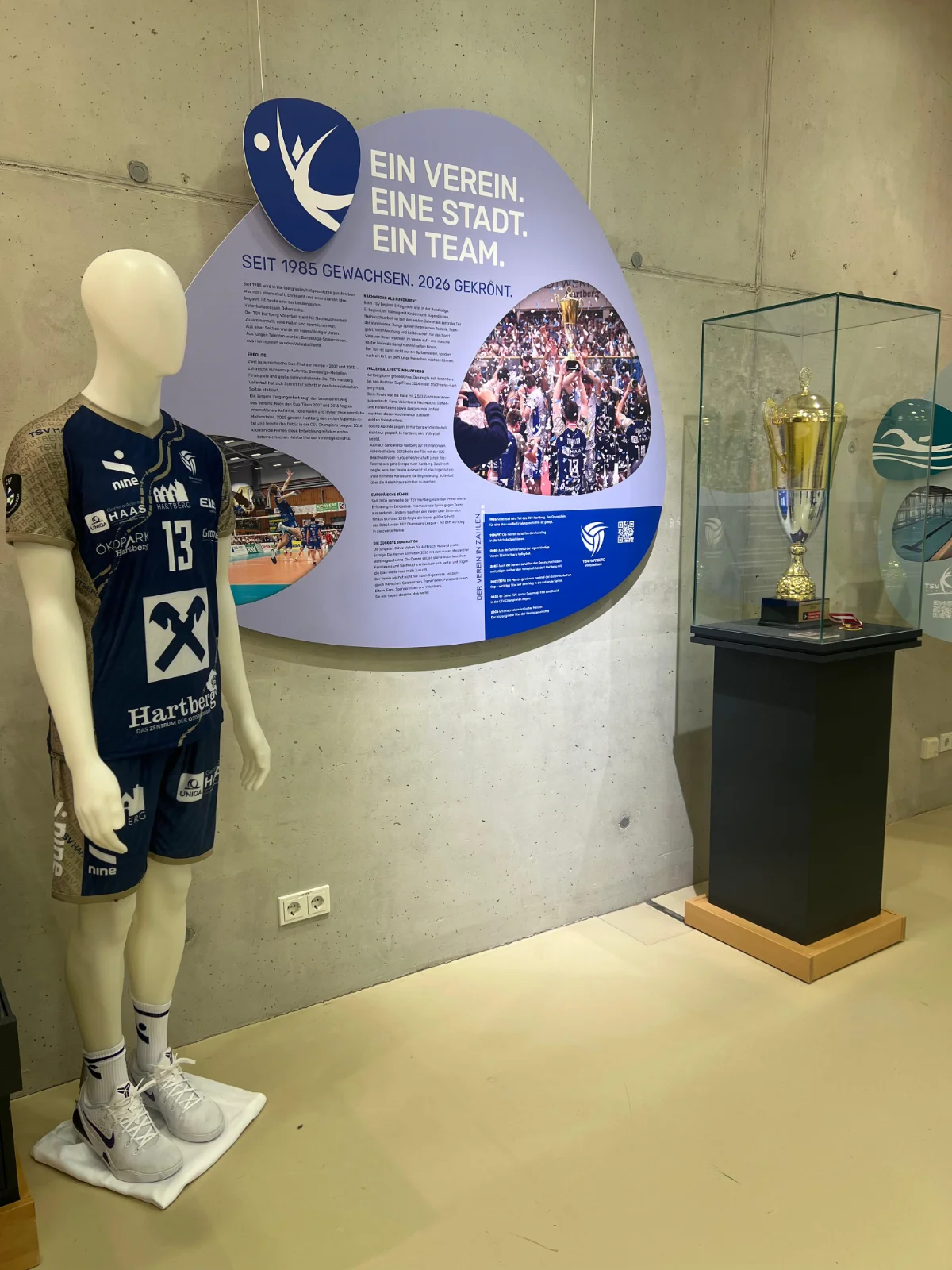 TSV Raiffeisen Hartberg